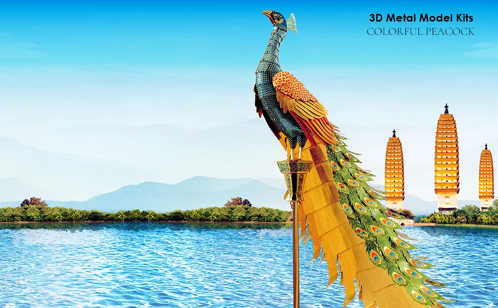 Colorful Peacock - Image 8