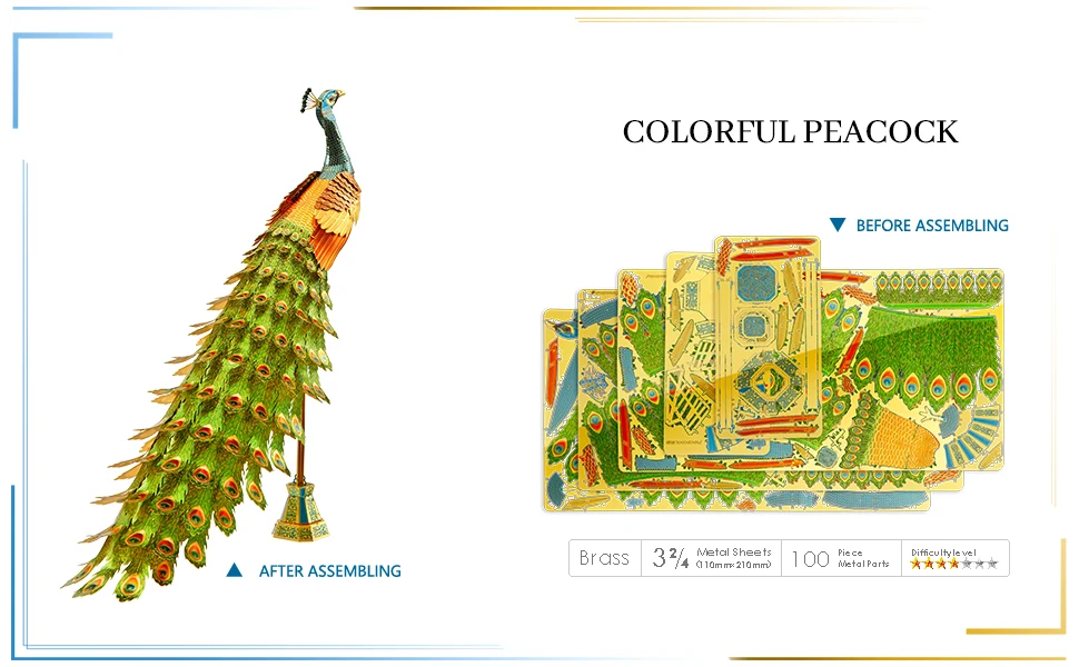 Colorful Peacock - Image 9