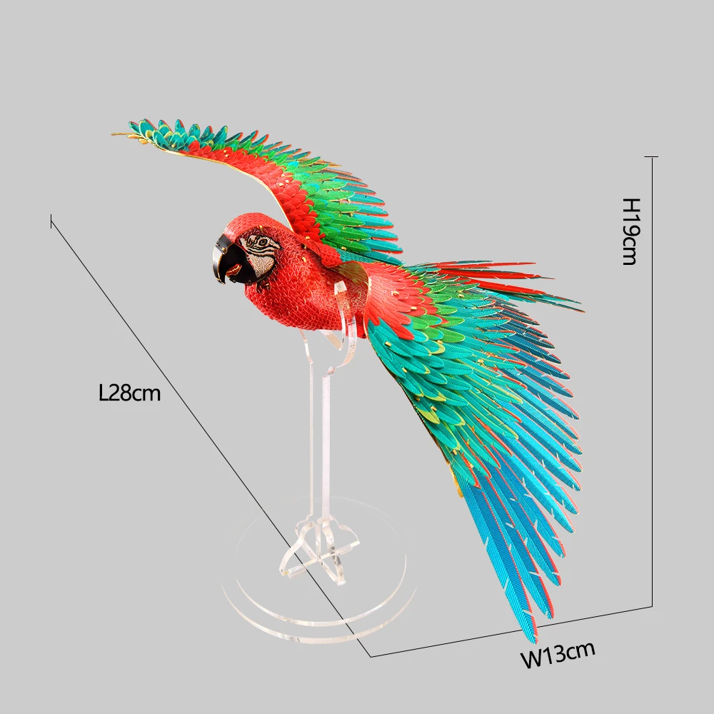 Scarlet Macaw - Image 5