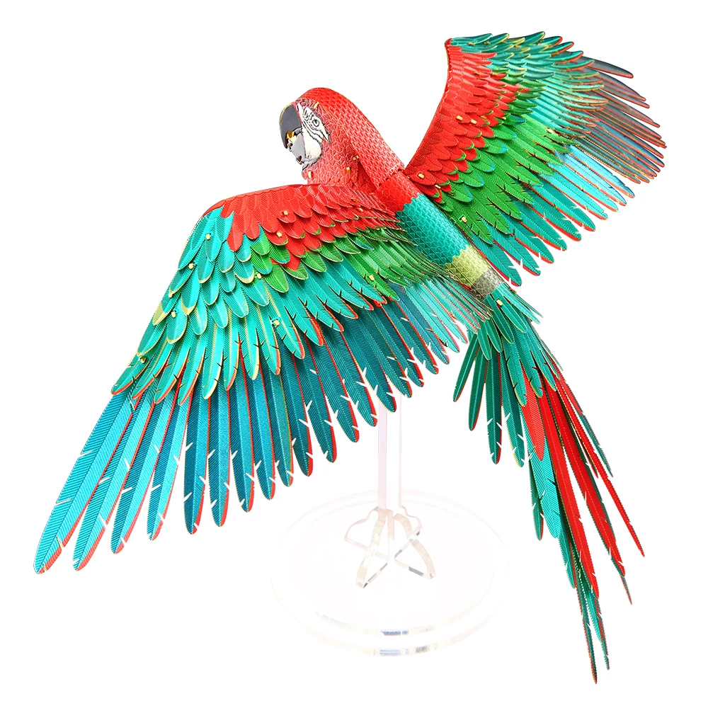 Scarlet Macaw - Image 8