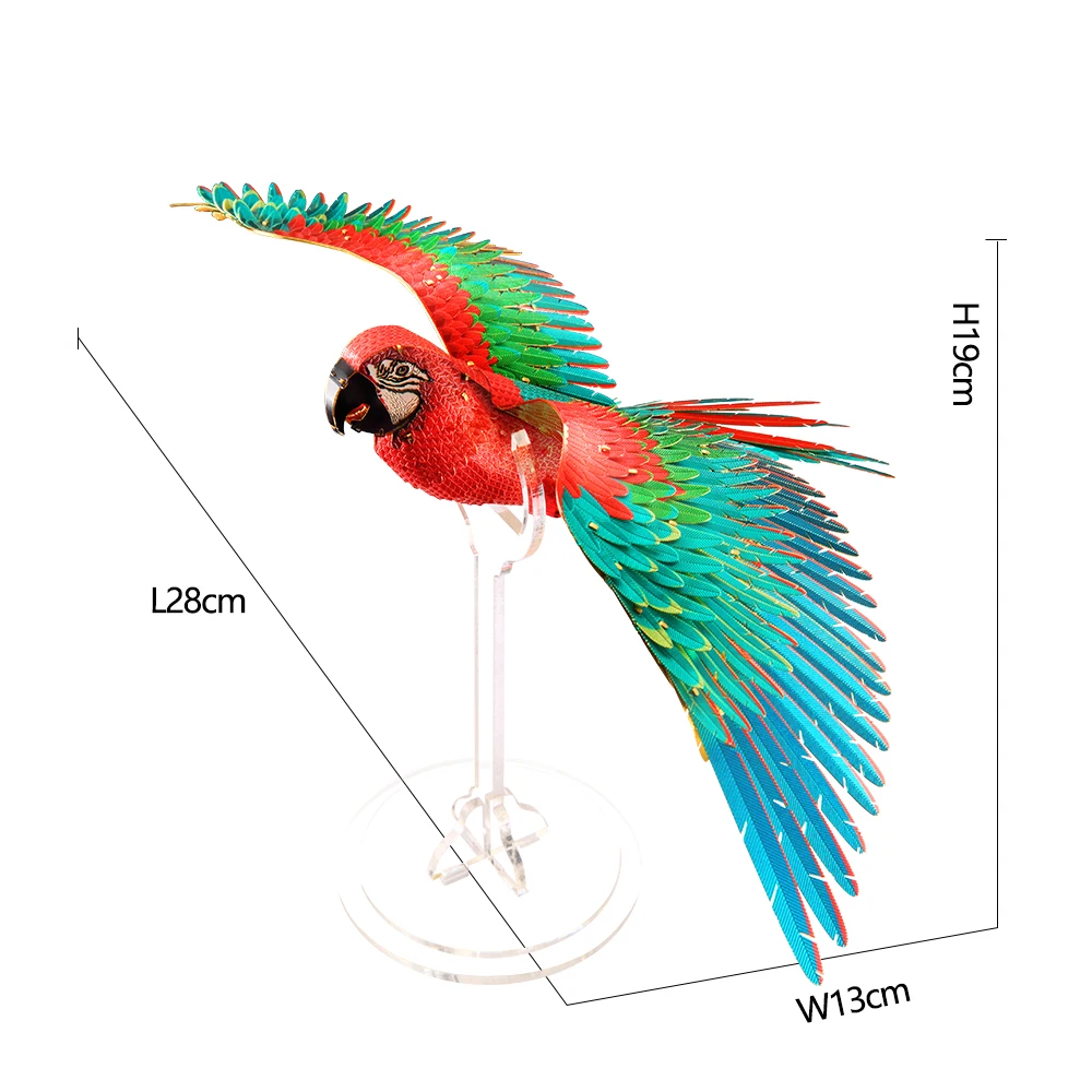 Scarlet Macaw - Image 11