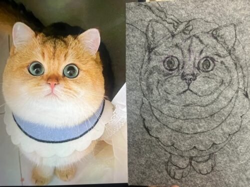ycat0