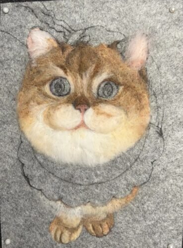 ycat1