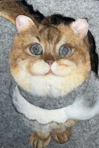 ycat2