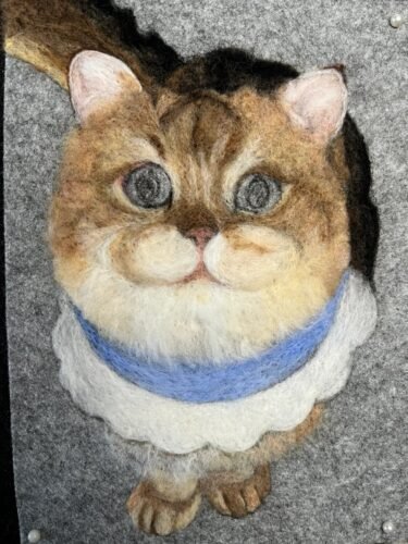 ycat3