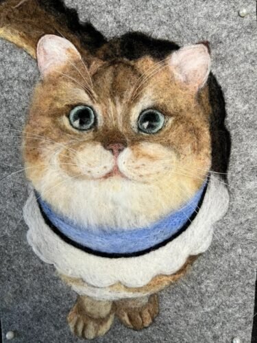 ycat4
