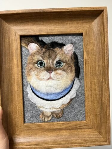 ycat成品